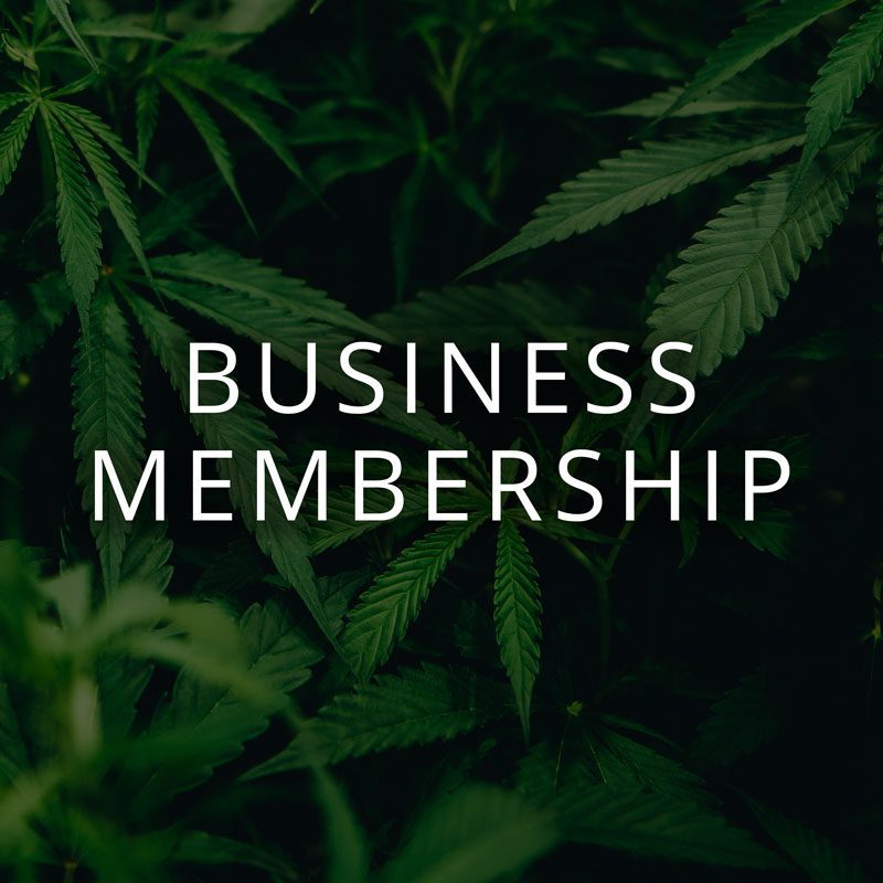 Business Membership (Monthly)