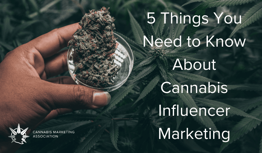 cannabis influencer marketing