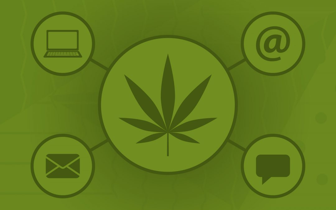 Your Cannabis Business and Content Marketing