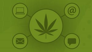 cannabis content marketing