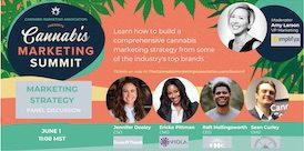 Sneak Peek! – Workshop: Effective Campaign Development Strategies with Ru Johnson – Cannabis Marketing Summit