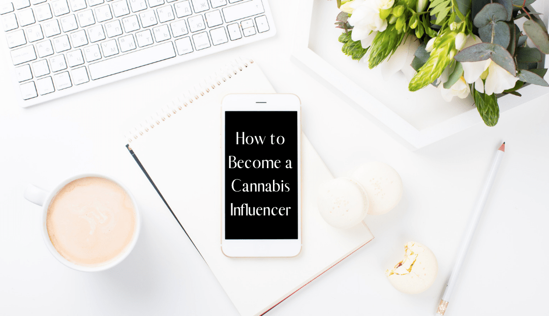How to Become a Cannabis Influencer Part 1