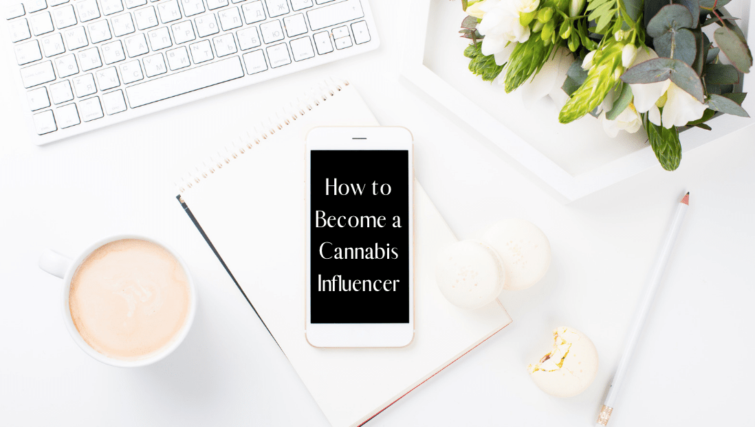 How to Become a Cannabis Influencer Part 1