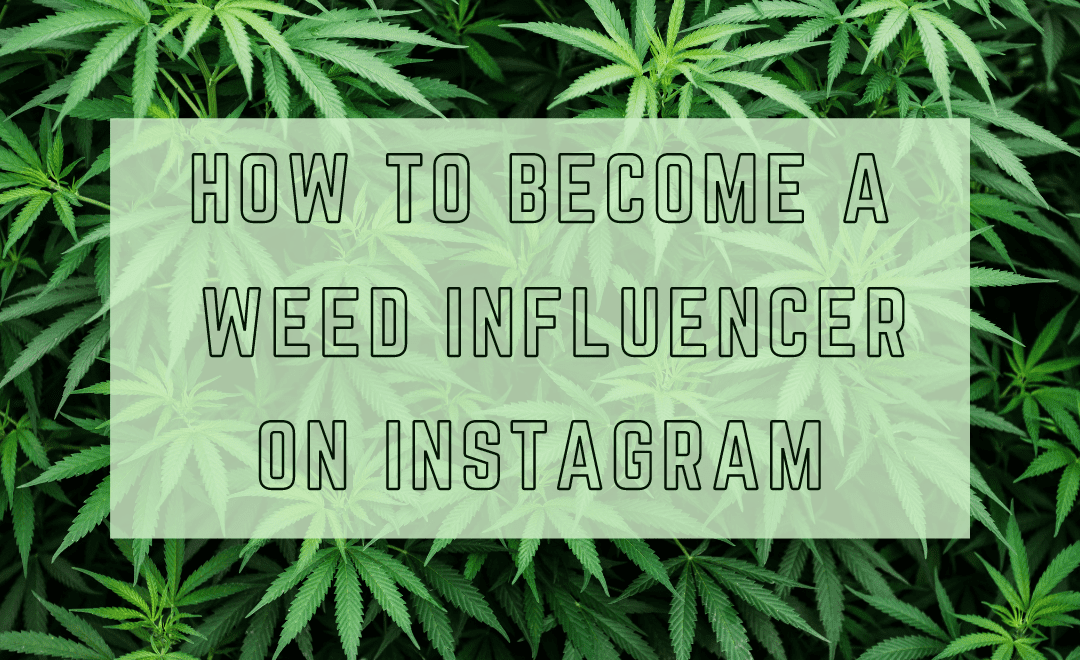 How to Become a Weed Influencer on Instagram Part 2