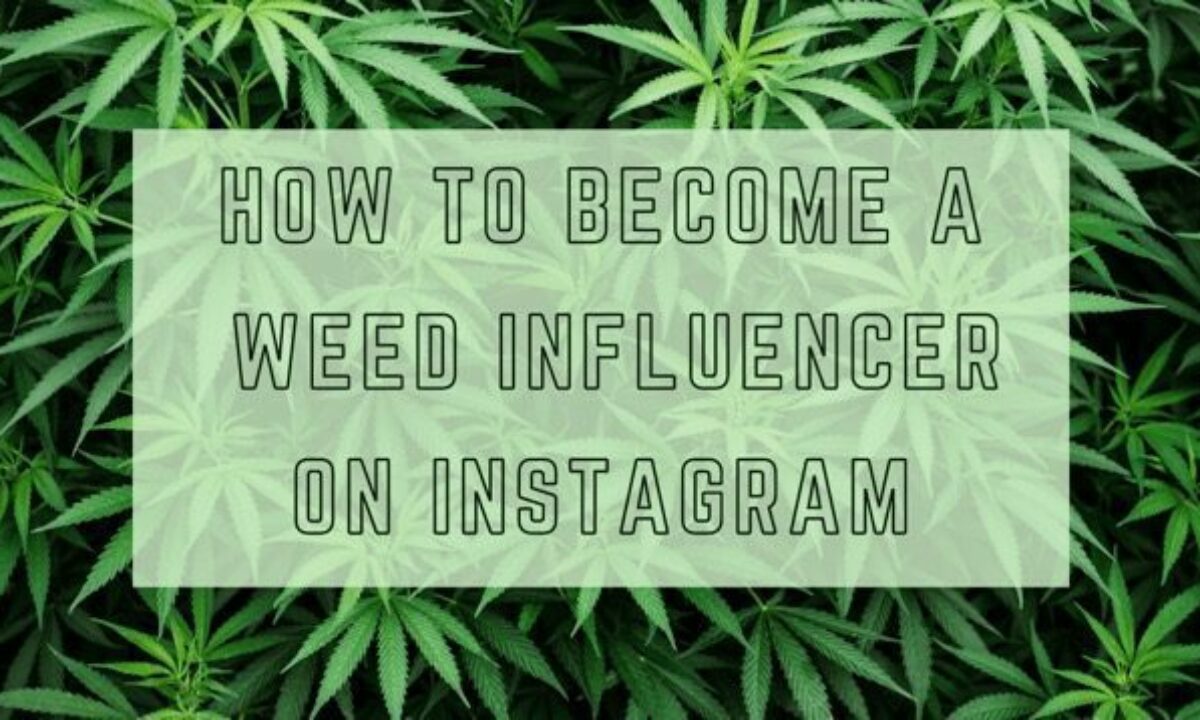 weed quotes for instagram