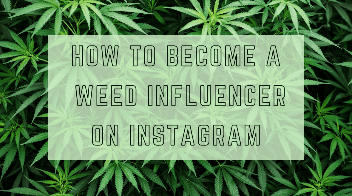 How to Become a Weed Influencer on Instagram Part 2