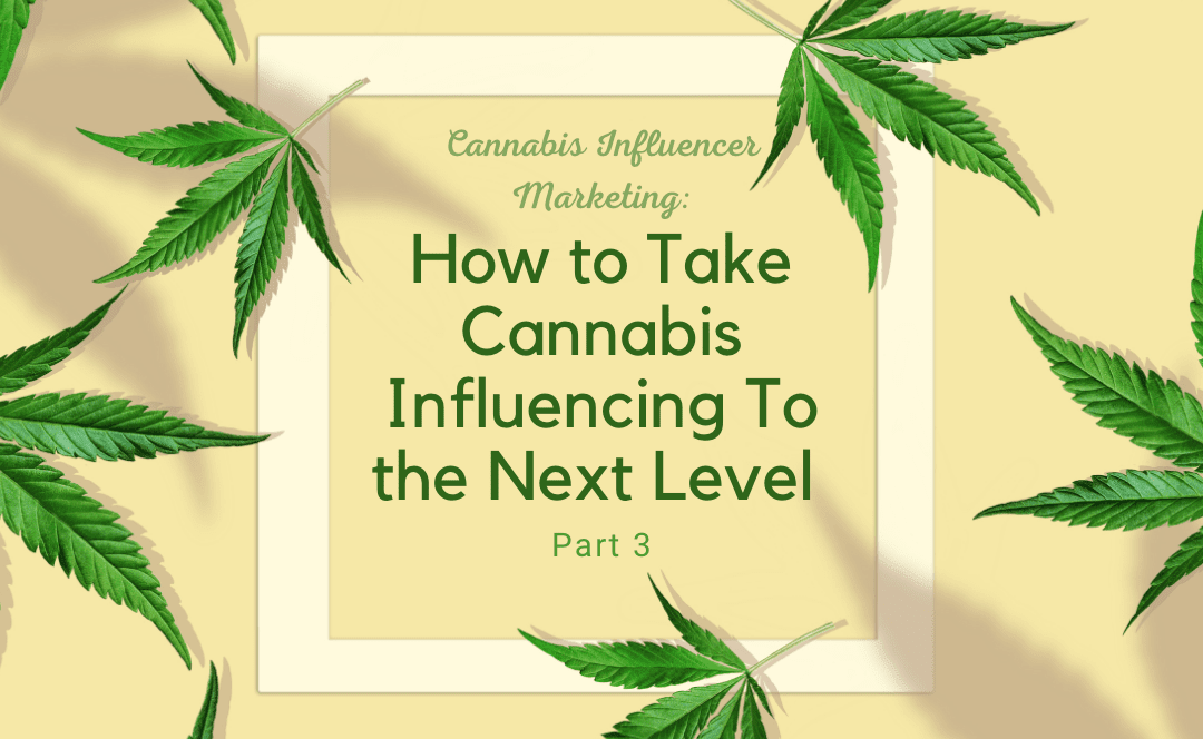 How to Take Cannabis Influencing To the Next Level Part 3