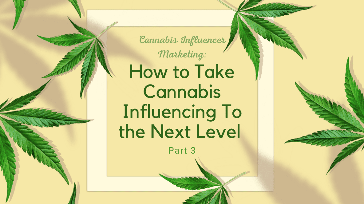 How to Take Cannabis Influencing To the Next Level Part 3