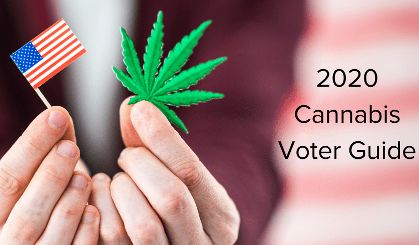 What’s on the ballot this year regarding cannabis?
