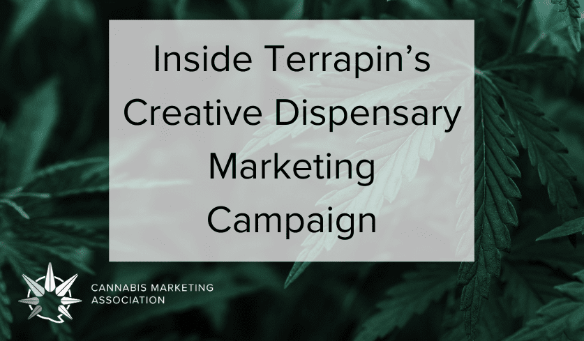 Inside Terrapin’s Creative Dispensary Marketing Campaign