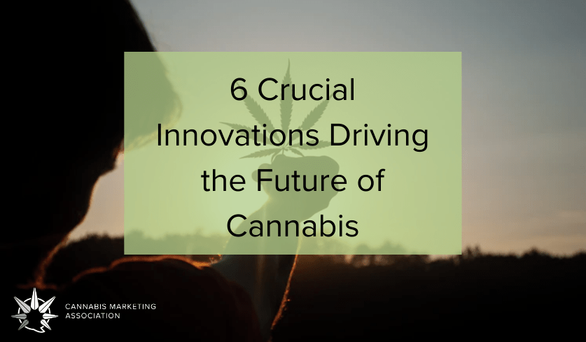 6 Crucial Innovations Driving the Future of Cannabis
