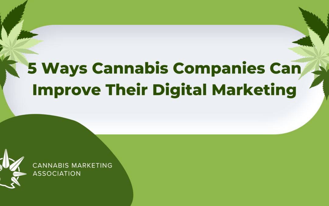 5 Ways Cannabis Companies Can Improve Their Digital Marketing