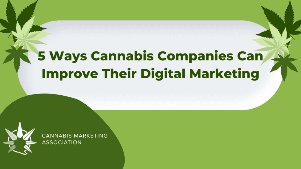 5 Ways Cannabis Companies Can Improve Their Digital Marketing