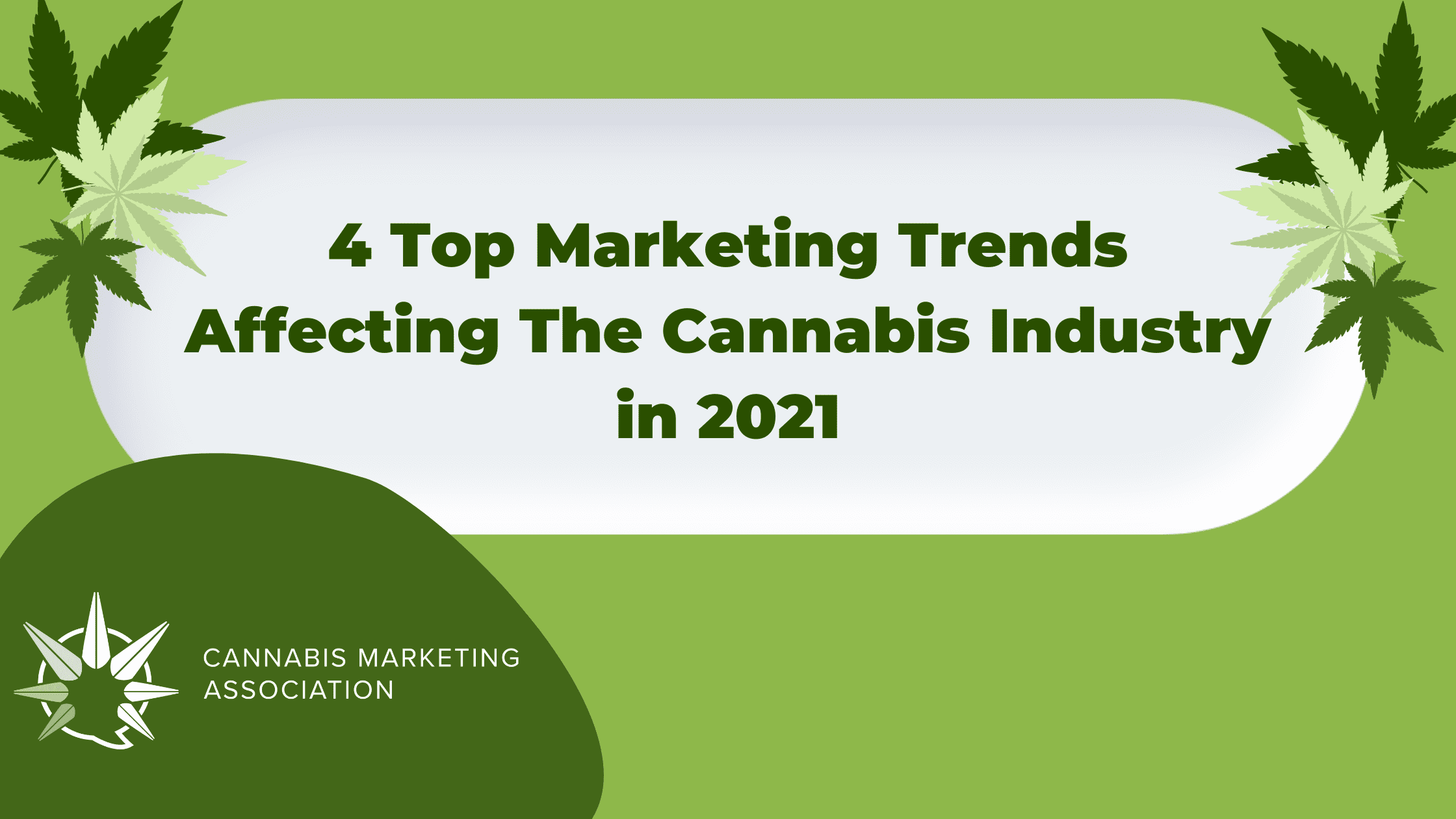 4 Top Marketing Trends Affecting The Cannabis Industry in 2021