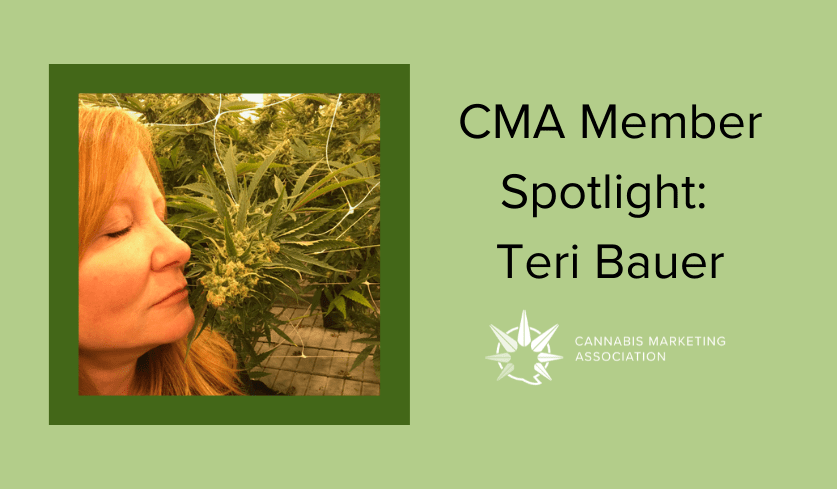 Member Spotlight: Teri Bauer