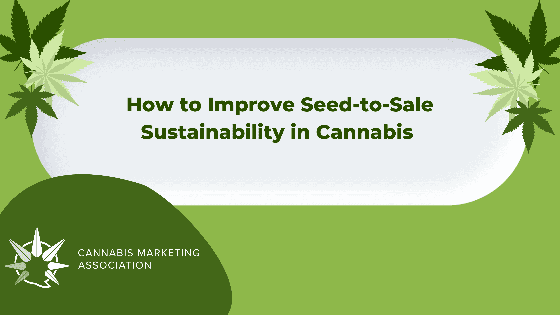 How to Improve Seed-to-Sale Sustainability in Cannabis