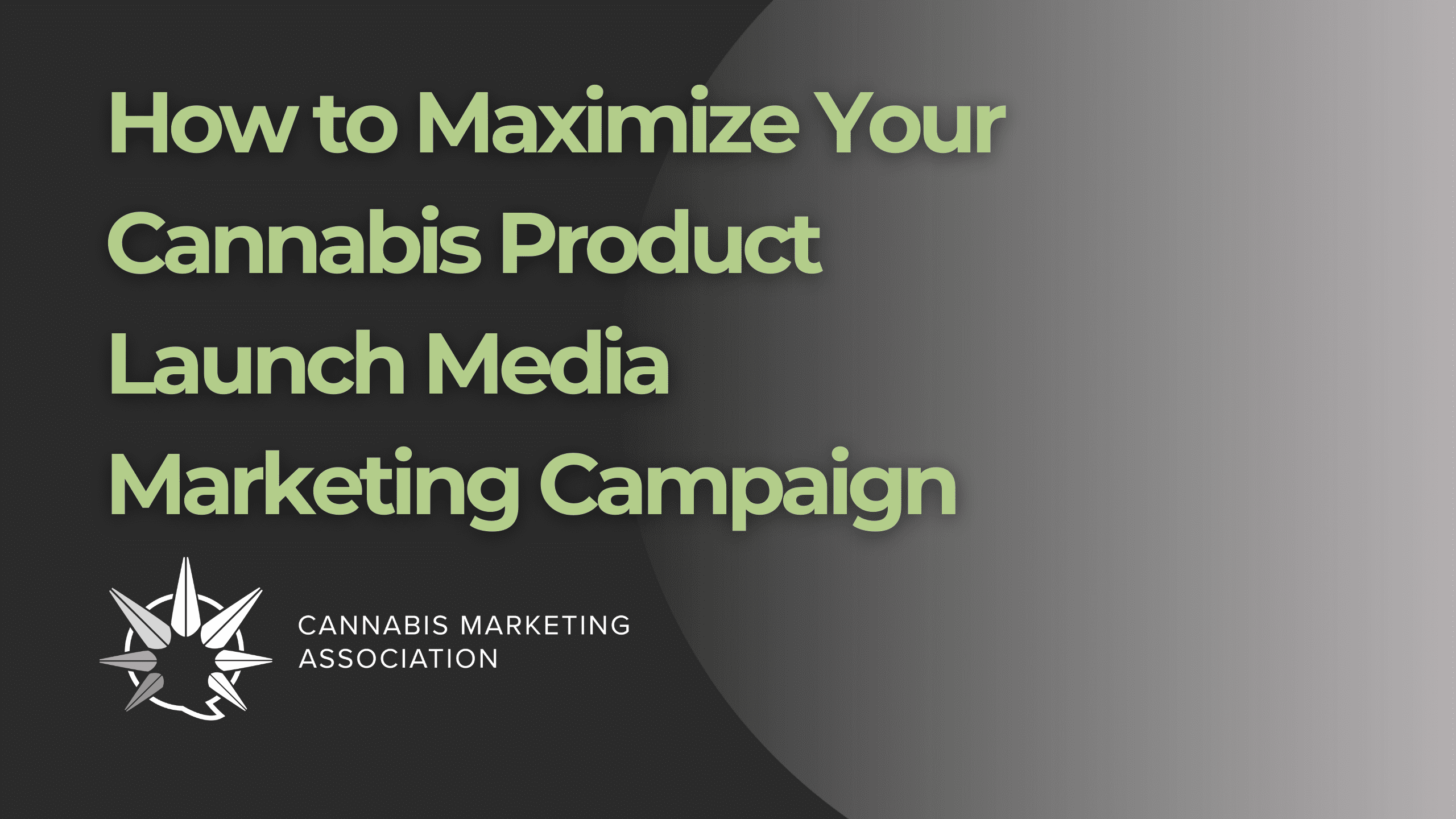 How to Maximize Your Cannabis Product Launch Media Marketing Campaign